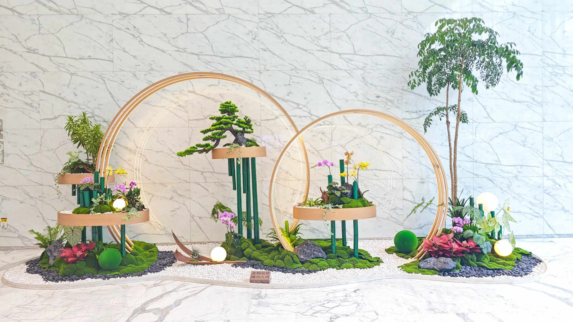 价格实惠的镇海绿植租摆,给生活增添一抹绿意!